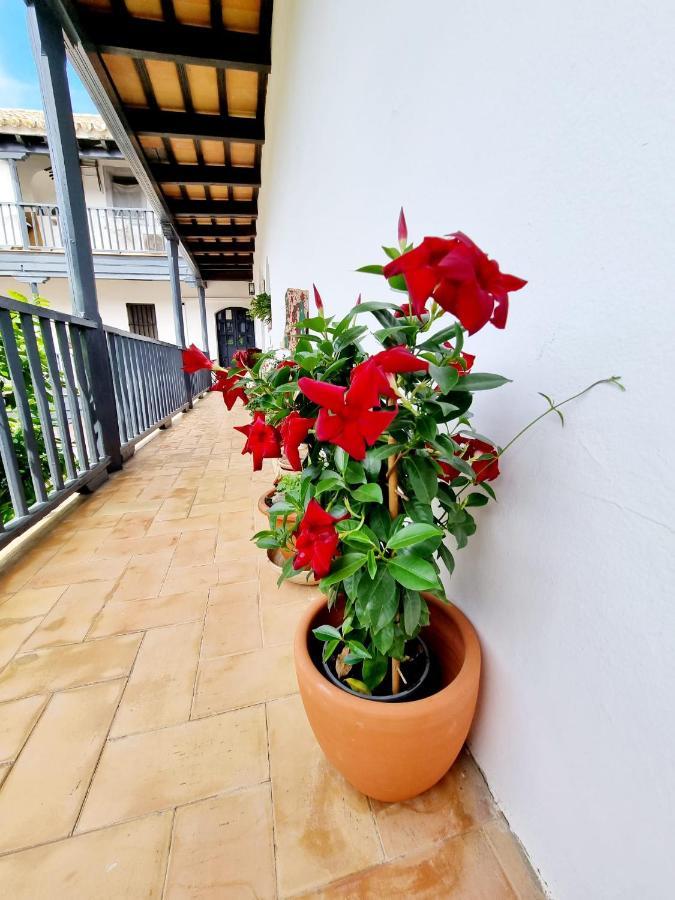 Apartamento Con Patio Sevillano Екстериор снимка